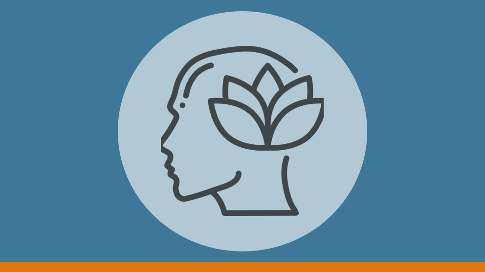 imagen Taller del manejo del estrés cotidiano (Mindfulness)